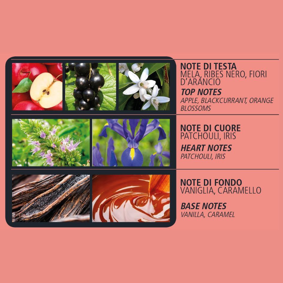 Elisir di Dolce Vita Diffuser 1000ml