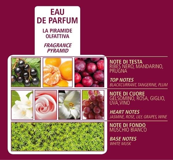 Bacche di Vinum Eau de Parfum 100ml