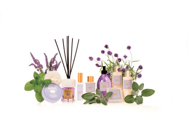 Lavendel Collectie