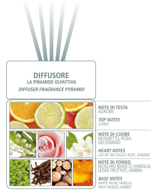 Musk Diffuser 1000ml