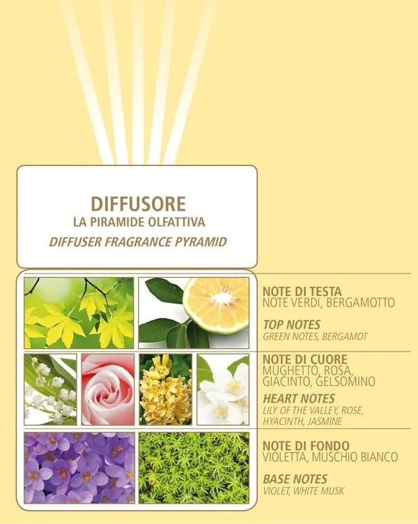 Oro Diffuser 100ml