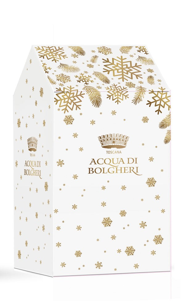 Gift Box Christmas Large
